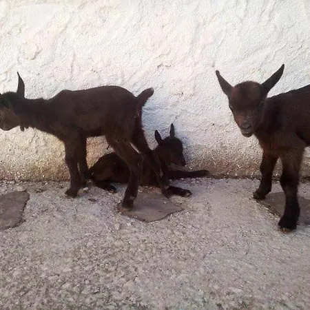 בקתה Granja El Regajo *